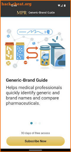 Generic-Brand Guide screenshot