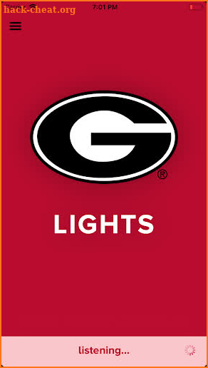 Georgia Lights screenshot