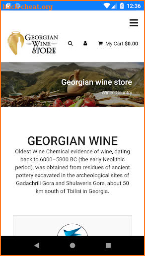 Georgian Wine Store screenshot