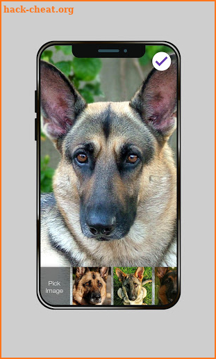 German Shepherd Faithful Dog Lock Screen Password screenshot