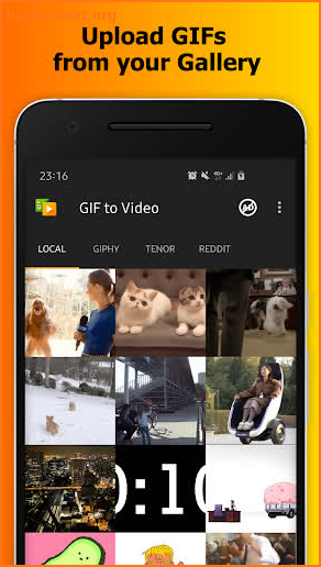 GIF to Video screenshot