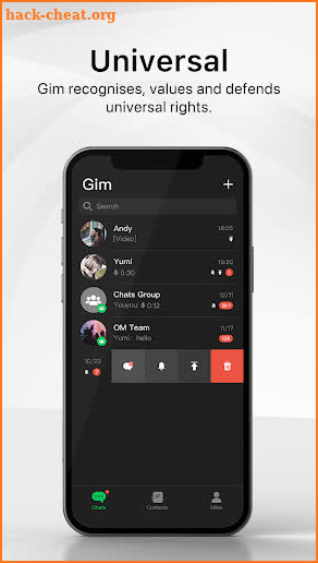 Gim screenshot