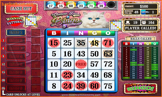 Glamour Puss Bingo Kitty Cash Cats PAID screenshot