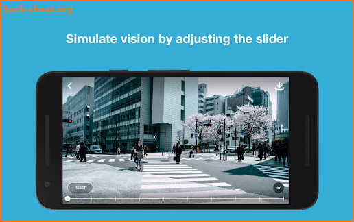 Glaucoma Vision Simulation screenshot