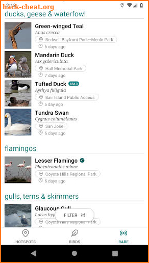 GoBird - Guide to Nearby Birds screenshot
