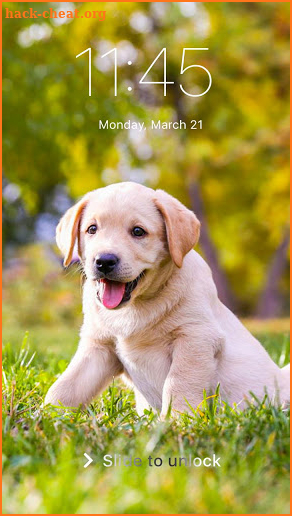 Golden Labrador Puppy Screen Lock Phone Pattern screenshot