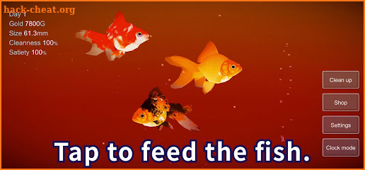 Goldfish 3D - Relaxing Aquarium Fish Tank screenshot