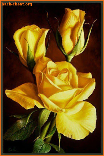 Good morning Flower Wallpapers Colorful Roses 4K screenshot