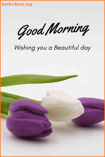 Good morning images wishes and greetings screenshot