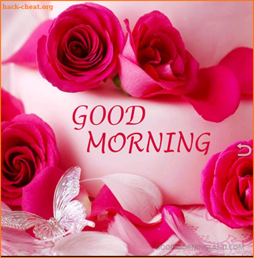 Good Morning Messages & Images with Flowers Roses screenshot