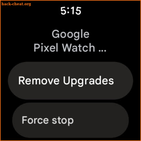 Google Pixel Watch Services screenshot