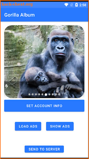 Gorilla Album screenshot