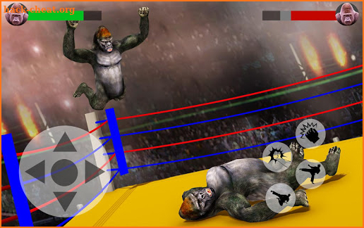 Gorilla Ring Boxing: Animal Ring Fighting Game screenshot