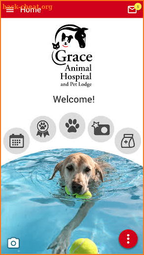 Grace Animal Hospital screenshot