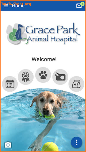 Grace Park Animal Hospital screenshot