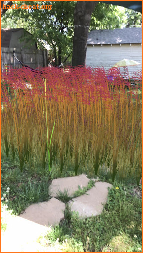 Grass Flower Weed: Bluestem screenshot