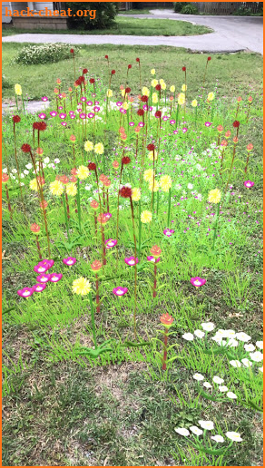 Grass Flower Weed: SpringBloom screenshot