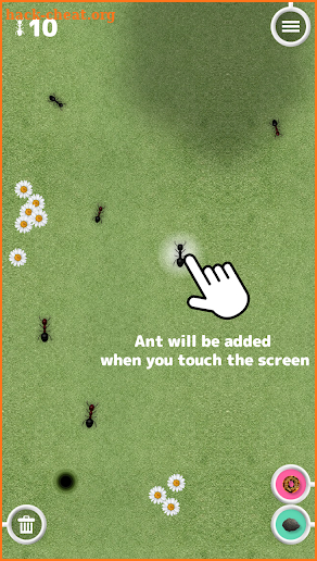 Great Ant Adventure screenshot