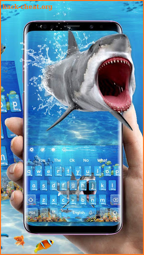 Great White Shark Keyboard Theme screenshot