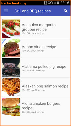 Grill recipes free, BBQ recipes offline with photo screenshot