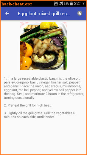 Grill recipes free, BBQ recipes offline with photo screenshot