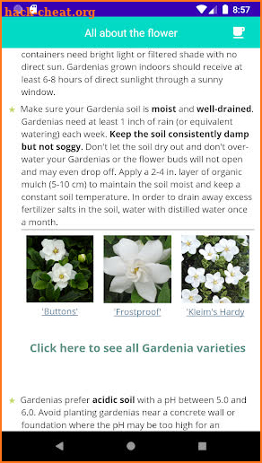 Grow Gardenia Flower screenshot