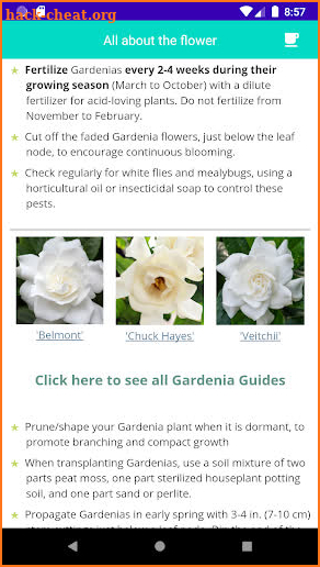 Grow Gardenia Flower screenshot