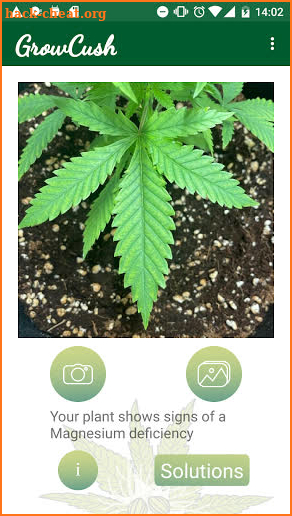 GrowCush - Cannabis deficiency detection screenshot