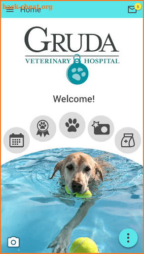 Gruda Veterinary Hospital screenshot