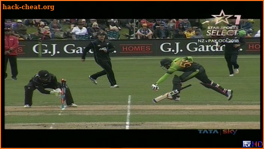 Gtv Live Cricket screenshot