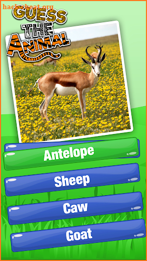Guess The Animal Quiz Games - Animal Trivia Games screenshot