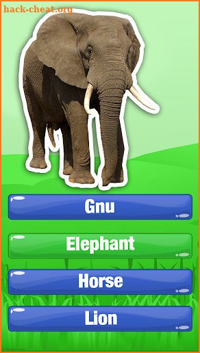 Guess The Animal Quiz Games - Animal Trivia Games screenshot