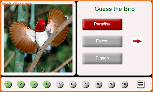 Guess the Bird. Tile Puzzle. screenshot