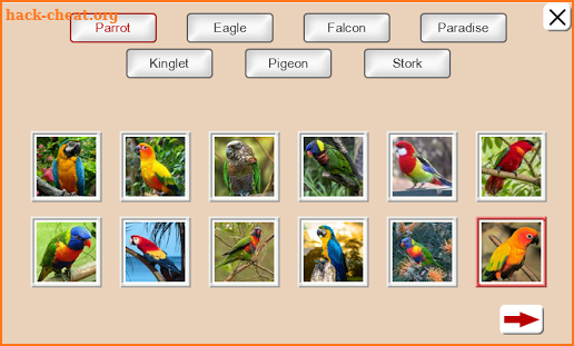 Guess the Bird. Tile Puzzle. screenshot