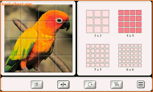 Guess the Bird. Tile Puzzle. screenshot