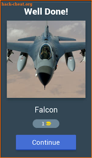 Guess the Military Plane screenshot