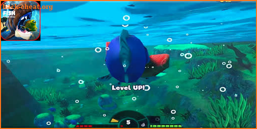 Guide Fish Feed Grow Mobile 2020 screenshot