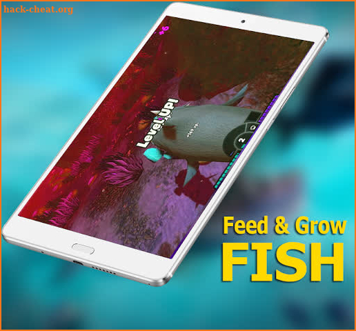 Guide for Fish Feed Grow Series 2020 screenshot