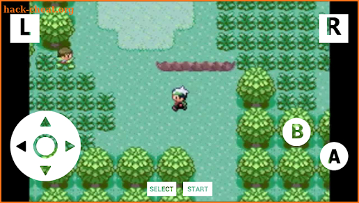 Guide for pokemon emerald GBA screenshot