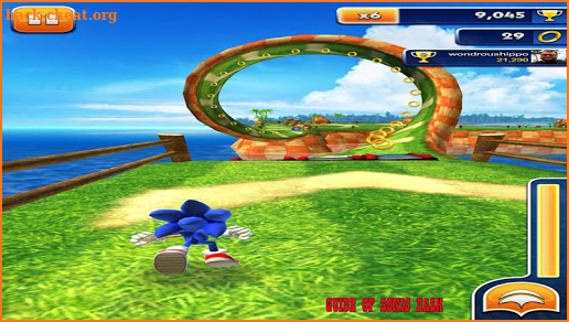 Guide For Sonic Dash 2018 screenshot