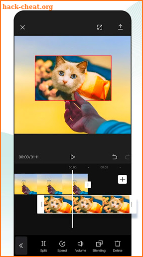 Guide For СuрСat Video Editing Cap Cat Tutorial screenshot