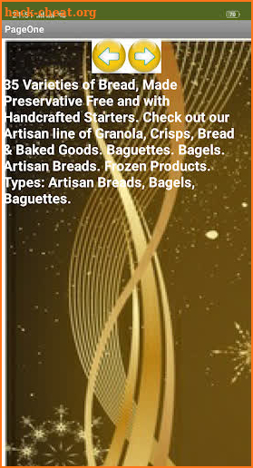 Guide Making Montreal-style Bagels screenshot