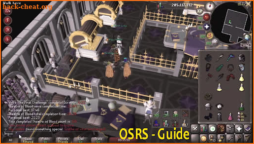 Guide Old School RuneScape OSRS screenshot