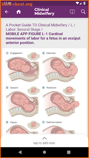 Guide to Clinical Midwifery screenshot