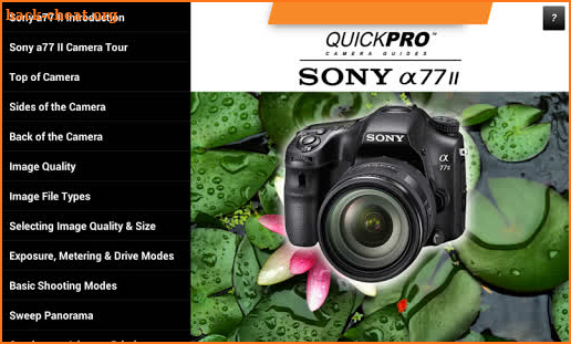 Guide to Sony a77 II screenshot