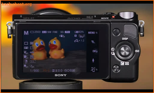Guide to Sony NEX-5T screenshot