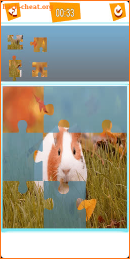 Guinea Pig Puzzle screenshot