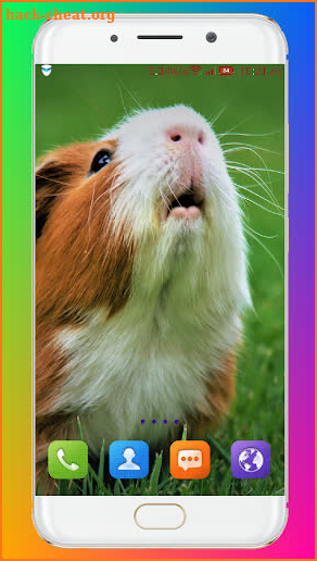 Guinea Pig Wallpaper screenshot