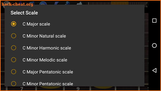 Guitar Scales & Chords Pro screenshot