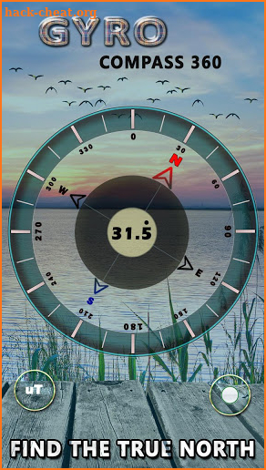 Gyro Compass 3D True North Finder with GPS Maps screenshot